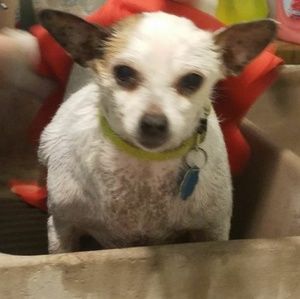 Meet your Posher, Rosita